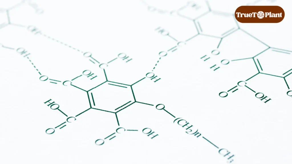 How Plants Create Complex Chemistry